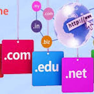Domain Name Registration